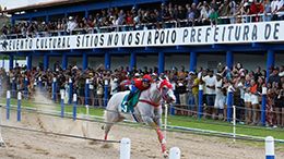 Electric Wagon MV, the champion of the Derby at Hipodromo Sitios Novos, in front of a large crowd in attendance at the racecourse.