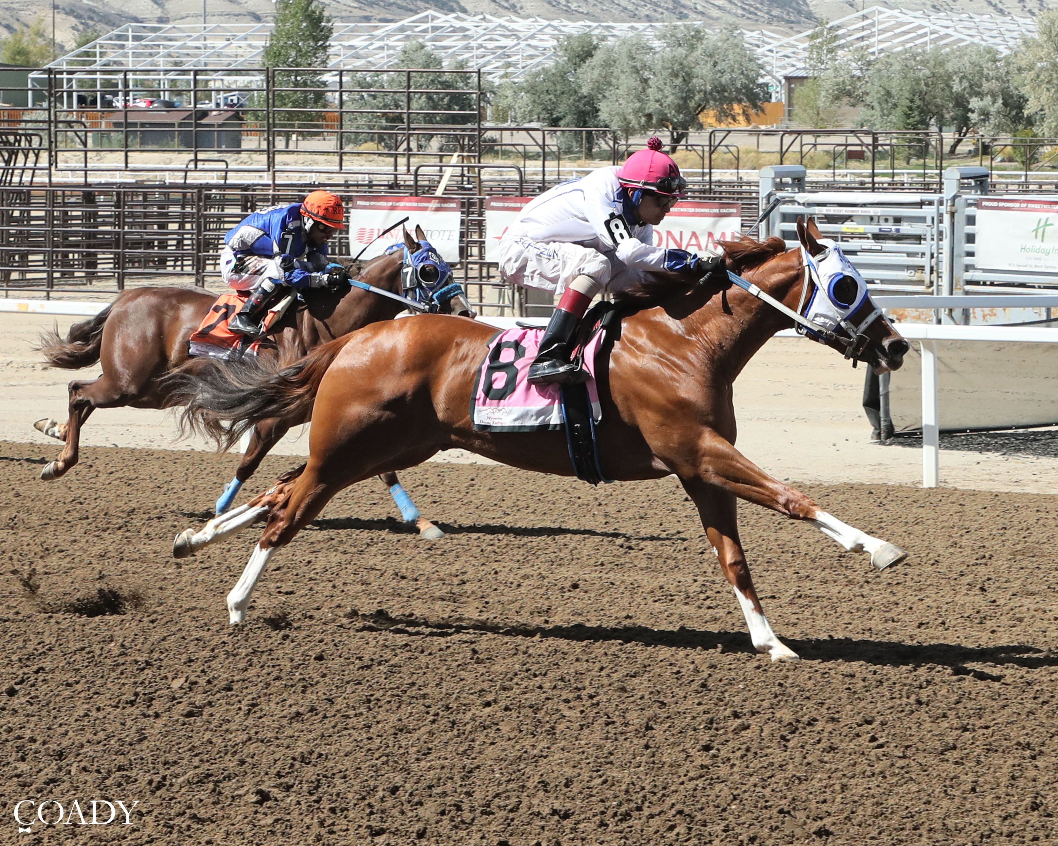 Living The Dreamm Tops Day 1 of WABRA Wyoming Bred QH Futurity Trials