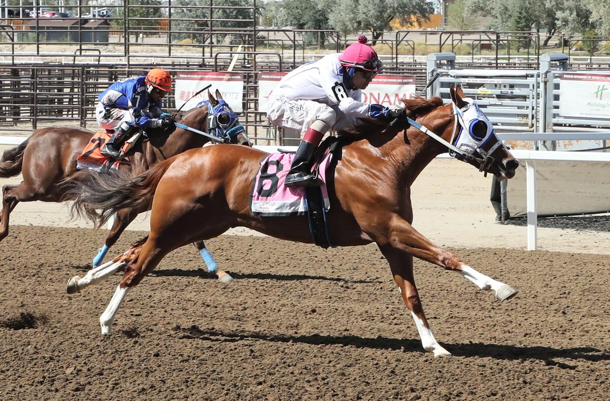 Living The Dreamm Tops Day 1 of WABRA Wyoming Bred QH Futurity Trials