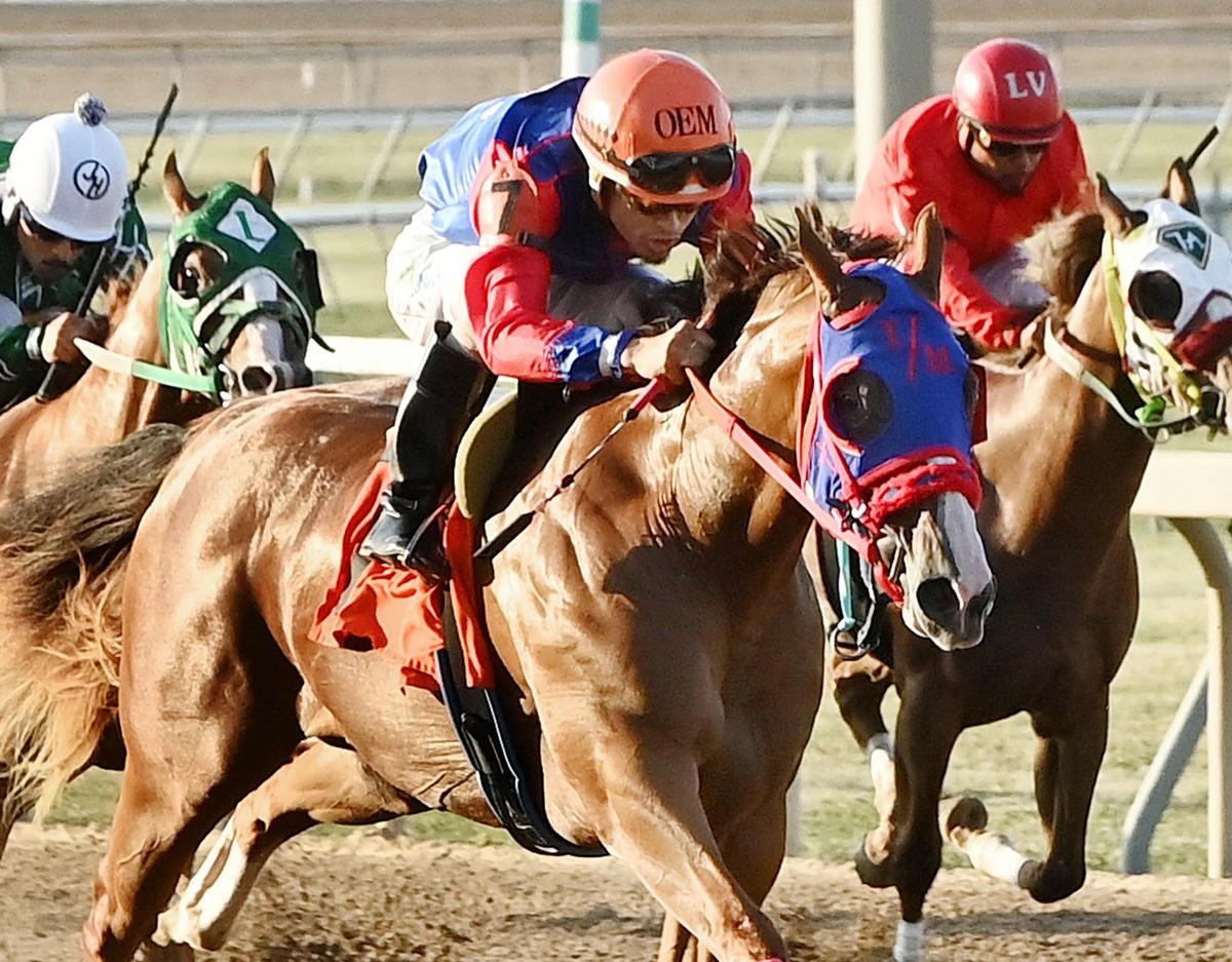 Back-To-Back Paint And Appaloosa Stakes Heat Up Retama Park Finale