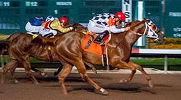 Naive and jockey Jose Nicasio won the closing trial Saturday night.