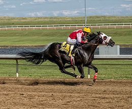 Ryan Haynes/Coady Photography, Ltd.