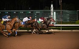 William Zuazo