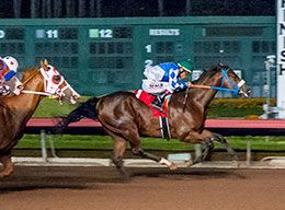 Cowboy County 123 and jockey Cruz Mendez dominated he fifth trial.