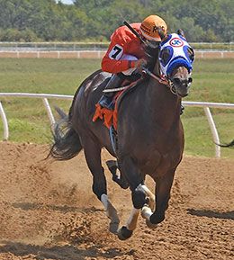 Coady Photography