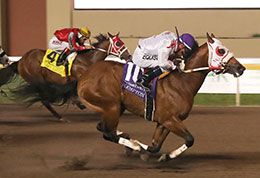 Kempton, under champion James Flores, winning the Grade 1 Heritage Place Futurity at Remington Park.