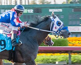 Los Alamitos