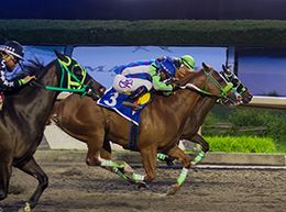 Miguel Angel Espinoza / Hipodromo de Las Américas