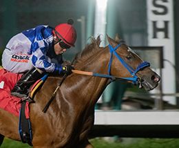 Los Alamitos Race Course