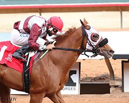 Preying N Sinning, under jockey Christian Cardenas, broke the bubble in the 13th trial on Saturday.