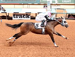 Apollitical Valor, under jockey Jacob Enriquez, posted a 1-1/2 win in the trial 11.