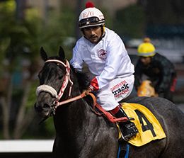 Los Alamitos