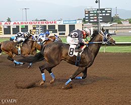 Blueyy, under jockey Louis Martinez, garnered the fifth qualifying time in trial #11.