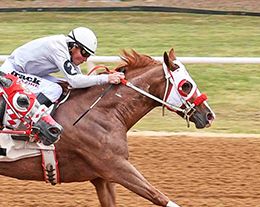 Los Alamitos