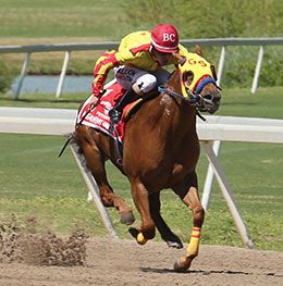Heavens Uncle winning the restricted Grade 1 Remington Park Oklahoma-Bred Futurity.