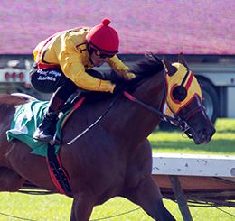 Los Alamitos