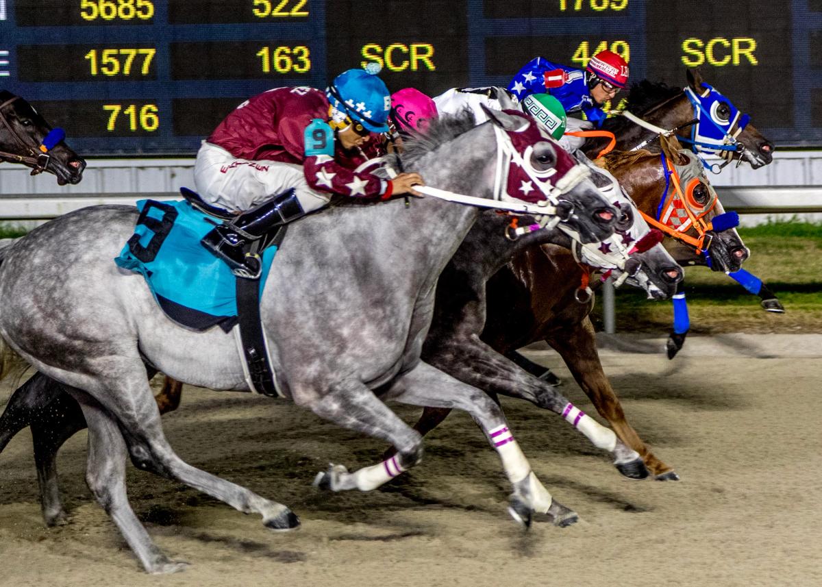 Blood Kiss Prevails by a Nose in $50,000 Lakeview Dash Stakes