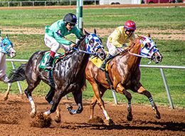 Gangster Grip, ridden by Nestor Duran, wins the $30,000 G.C.F.A Juvenile Stakes at Gillespie County Fair.