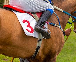 Texas Racing Commission confronts dangerous horse racing and illegal gambling situations.