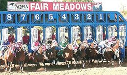 Fair Meadows