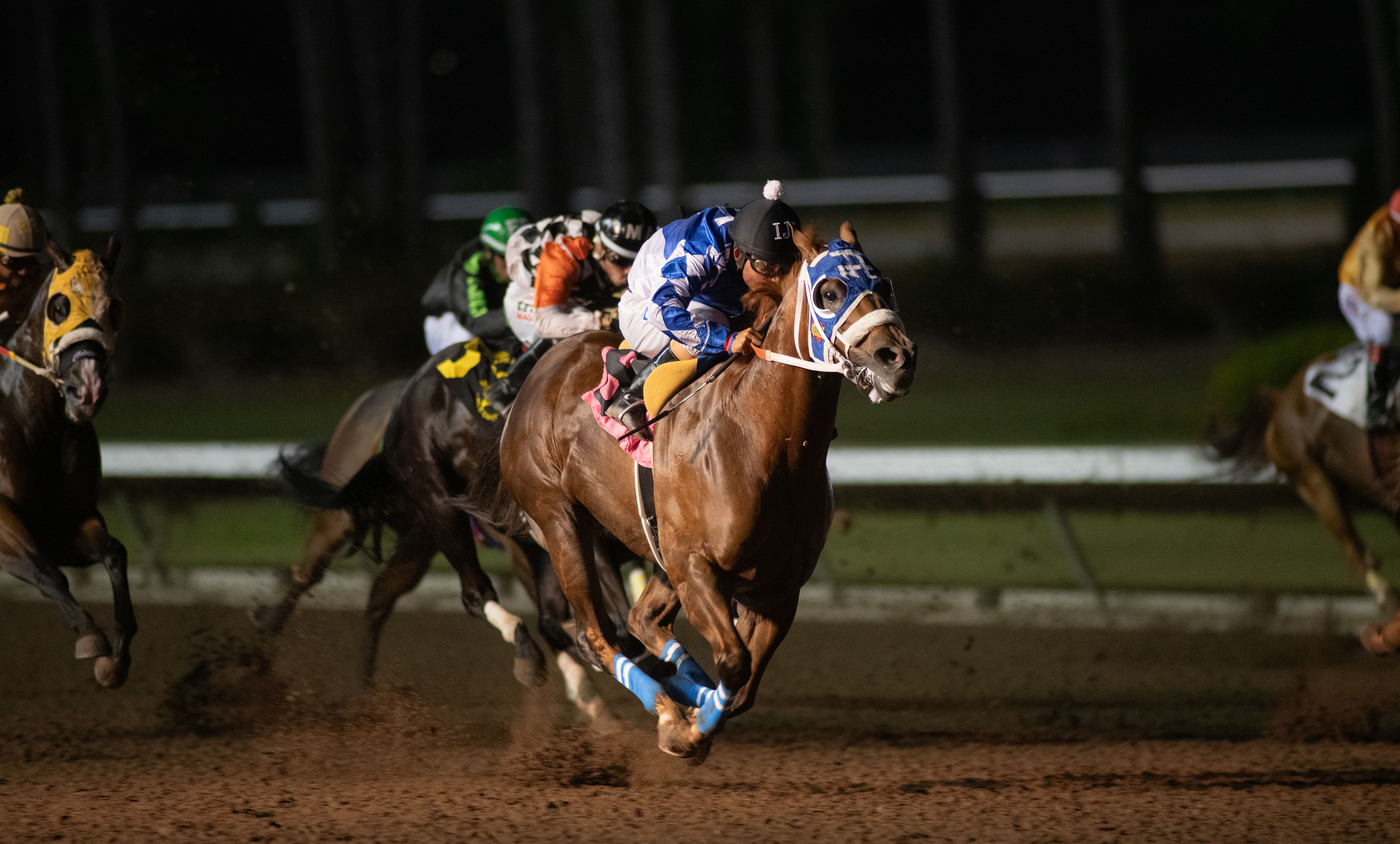 Mask Mandate Delivers 18-1 Upset Over Lethal Cowboy 123 In Grade 1 Go Man Go Handicap