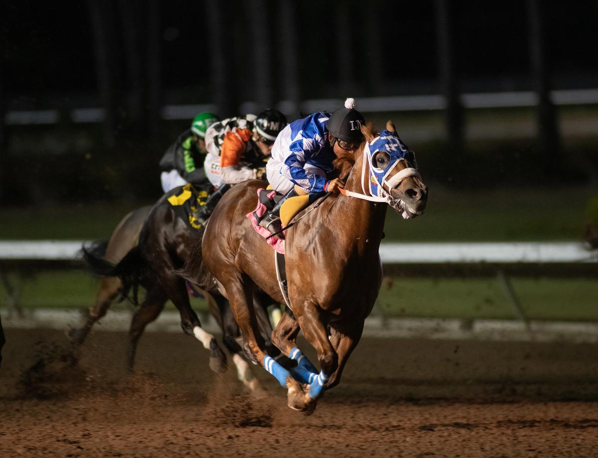 Mask Mandate Delivers 18-1 Upset Over Lethal Cowboy 123 In Grade 1 Go Man Go Handicap