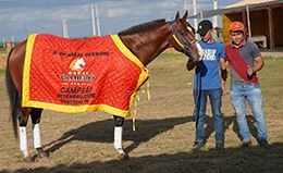 Luiz Straw HRZ with his grooms after winning the Haras Germano Championship trophy on Sunday.