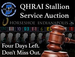 Final Countdown! Just Four Days Remain in the QHRAI Stallion Service Auction.