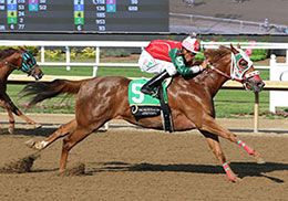 Cowgirl Beach, under jockey Giovani Vazquez-Gomez, winning the opening trial Thursday night.