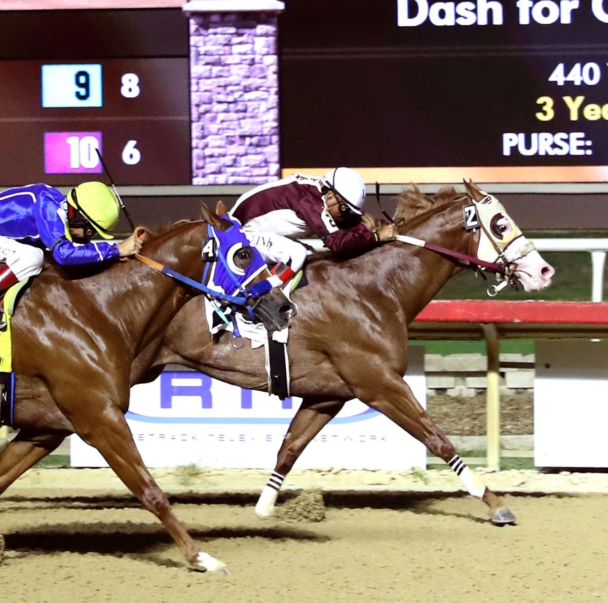 Royalist Holds Off Karma Cha Ching in $168,400 Dash For Cash Derby at Lone Star Park