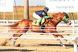 Trial 4 – Apollitical Jr takes owner Haras Prata to another stakes final.