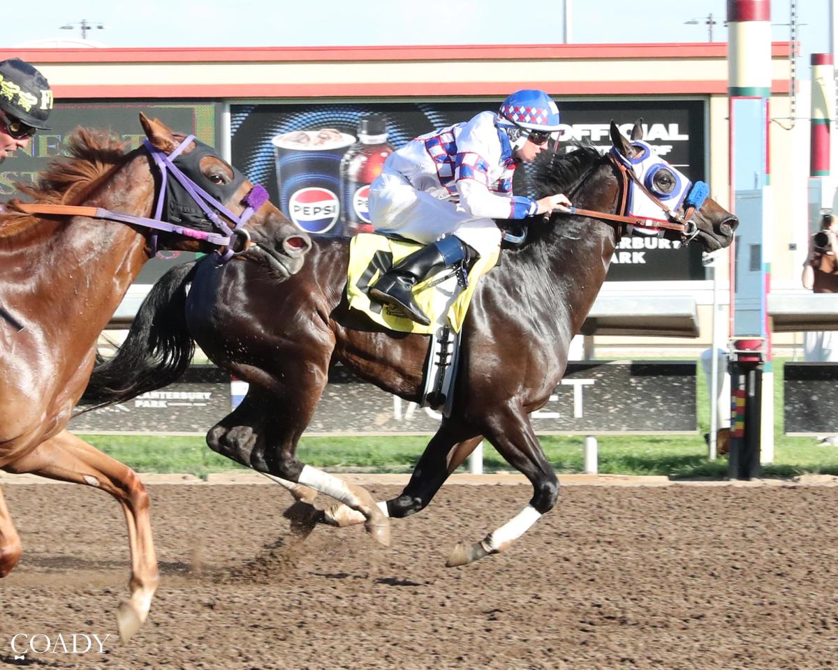 Sheza a Sugar Momma wins $46,600 Minnesota QH Futurity