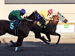 Dustin Orona Photography/Remington Park