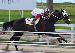 Fast Good Candy wins the fifth trial for owner Estância 3R.