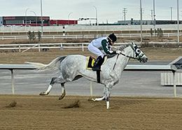 Century Downs Marketing