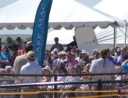 Fans gather at the Lake Mac Casino-Resort-Racetrack's inaugural one-day Quarter Horse meet on Tuesday.