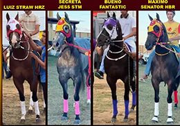 The order of finish in the Haras Germano Championship Sunday was Luiz Straw HRZ, Secreta Jess STM, Bueno Fantastic, and Máximo Senator HBR.
