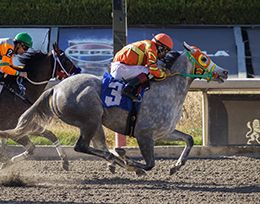 Miguel Angel Espinoza / Hipodromo de Las Américas