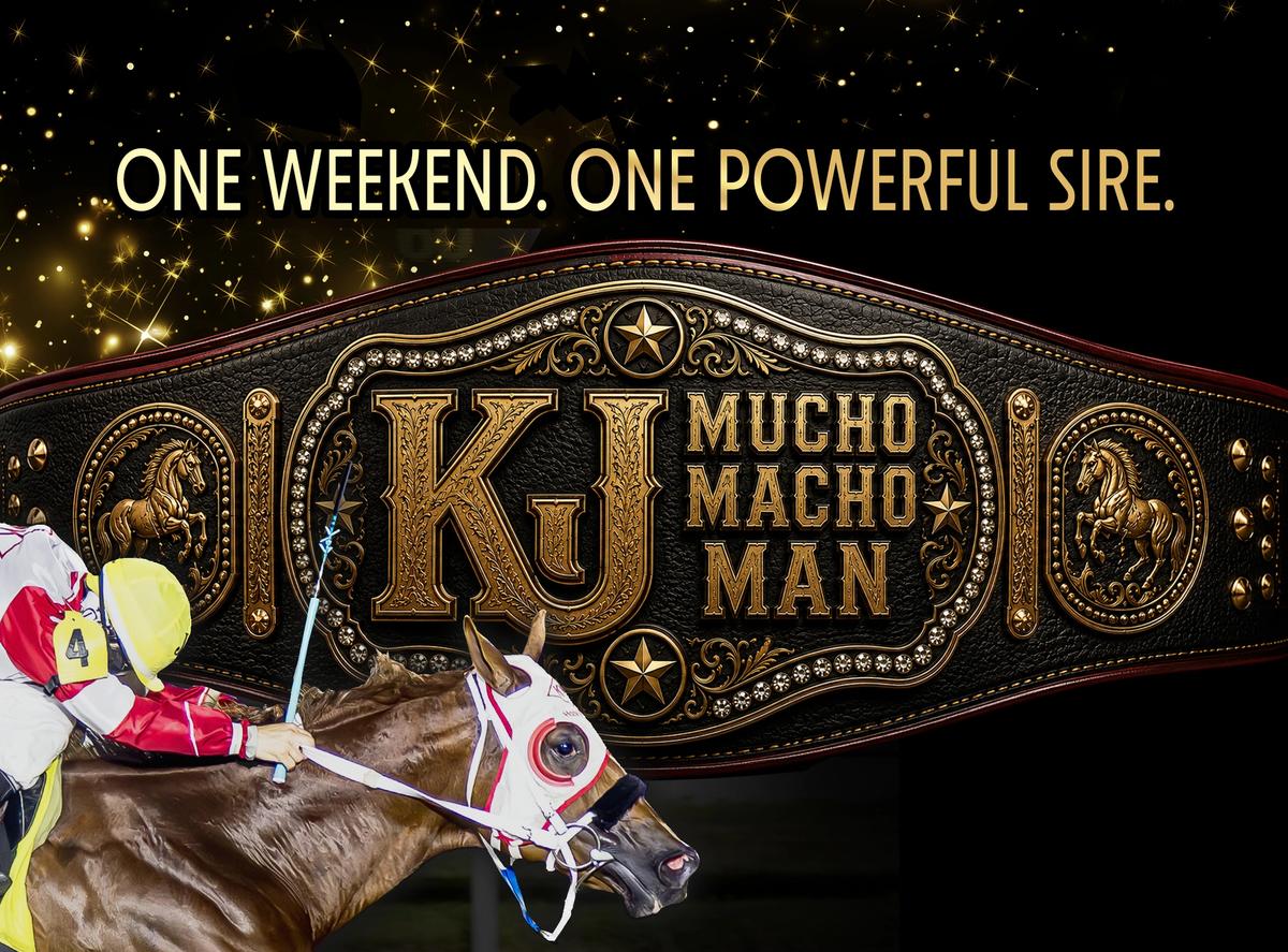 Seven KJ Mucho Macho Man Finalists Headed to Six Stakes Worth $1.15 Million