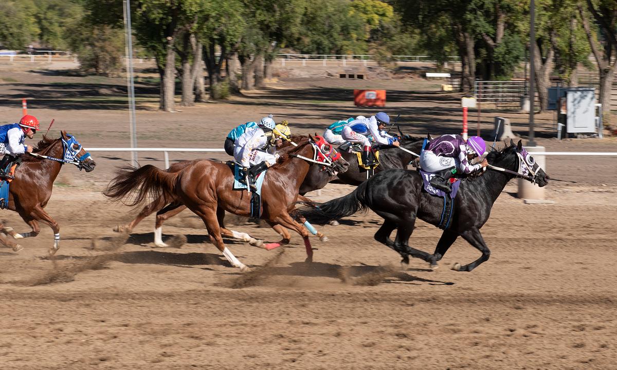 Bnb Flashcard Breaks Maiden In Hadley Giles Futurity Consolation