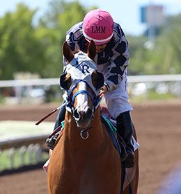 Ernesto Salinas, Jr.  / StallioneSearch