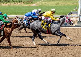 Tell Your Senators, with Jasiel Aquino aboard, won the fourth Big Easy Futurity Trial of the day with a time of 18.312 at the Fair Grounds in New Orleans, LA.