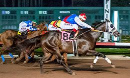 Beach Walk (#8), under jockey Edurado Nicasio, qualifies in the opening trial Saturday.
