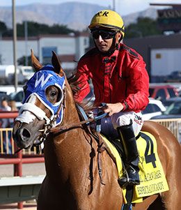 Ernesto Salinas, Jr. / StallioneSearch