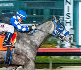 Los Alamitos