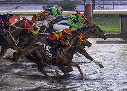 Miguel Angel Espinoza / Hipodromo de Las Américas