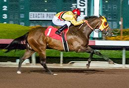 Cheater crosses the wire first in the Jens List Memorial Stakes.