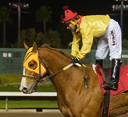 Los Alamitos