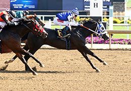 One Magic Eagle and jockey Luis Luna Diaz won the fourth Governors Stake trial Saturday.