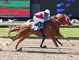 Open A New Corona, under jockey Brian Bell, wins the opening trial for the Princess Derby Sunday at Ajax Downs.